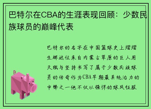 巴特尔在CBA的生涯表现回顾：少数民族球员的巅峰代表